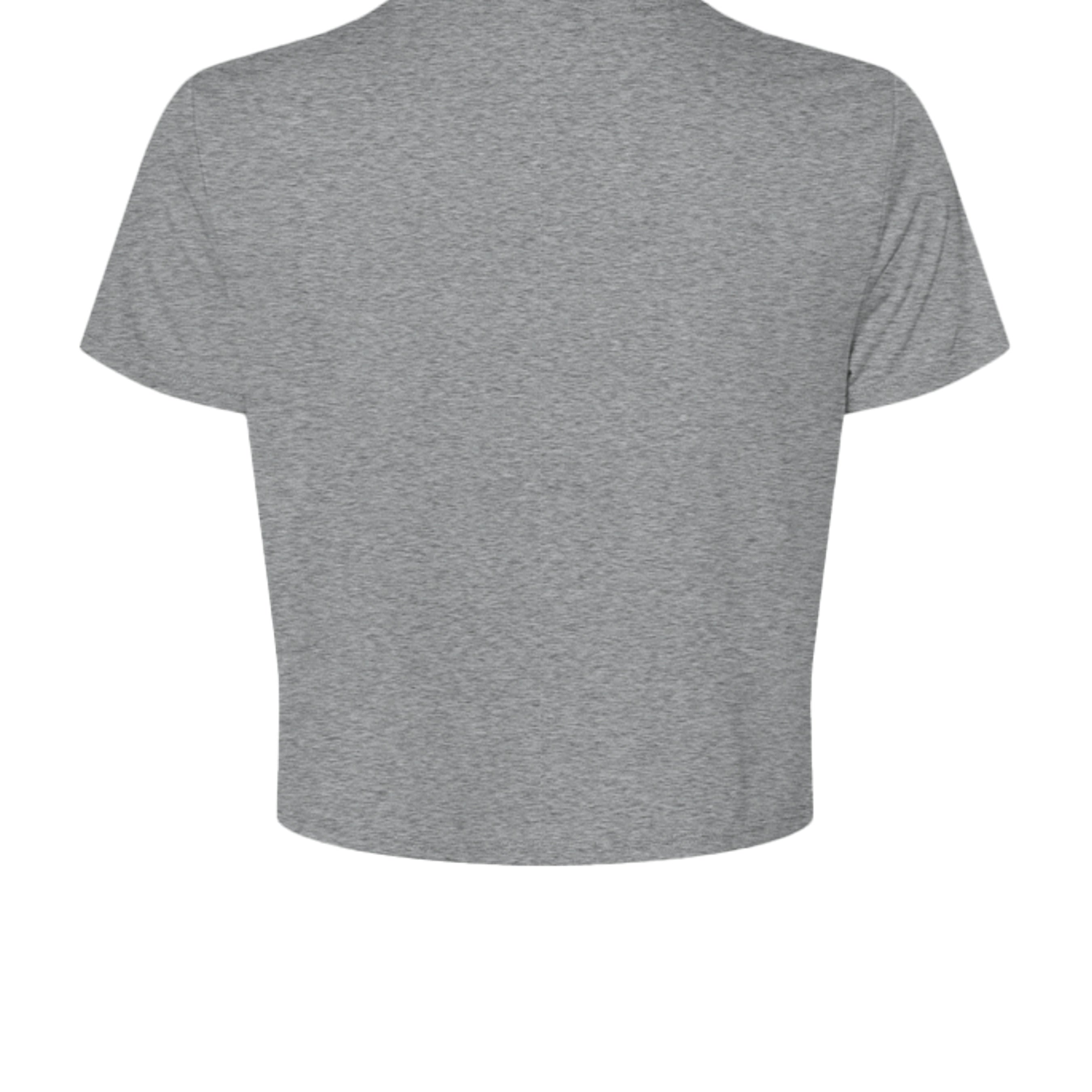 Collegiate Houston Crop in Athletic Heather, back view - Houston Cougars Coogs gear