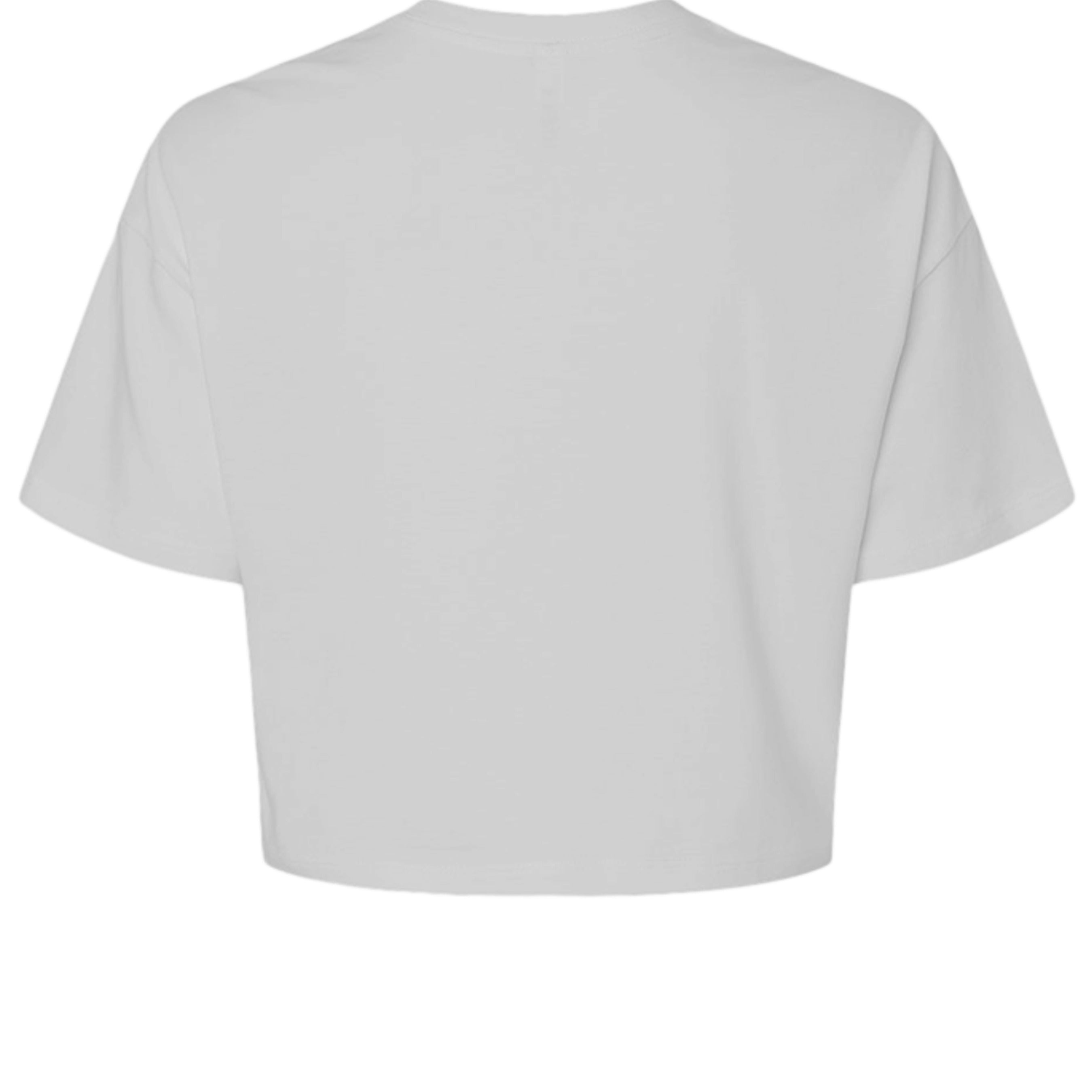 Houston Classic Crop in Vintage White, back view - Houston Cougars Coogs gear