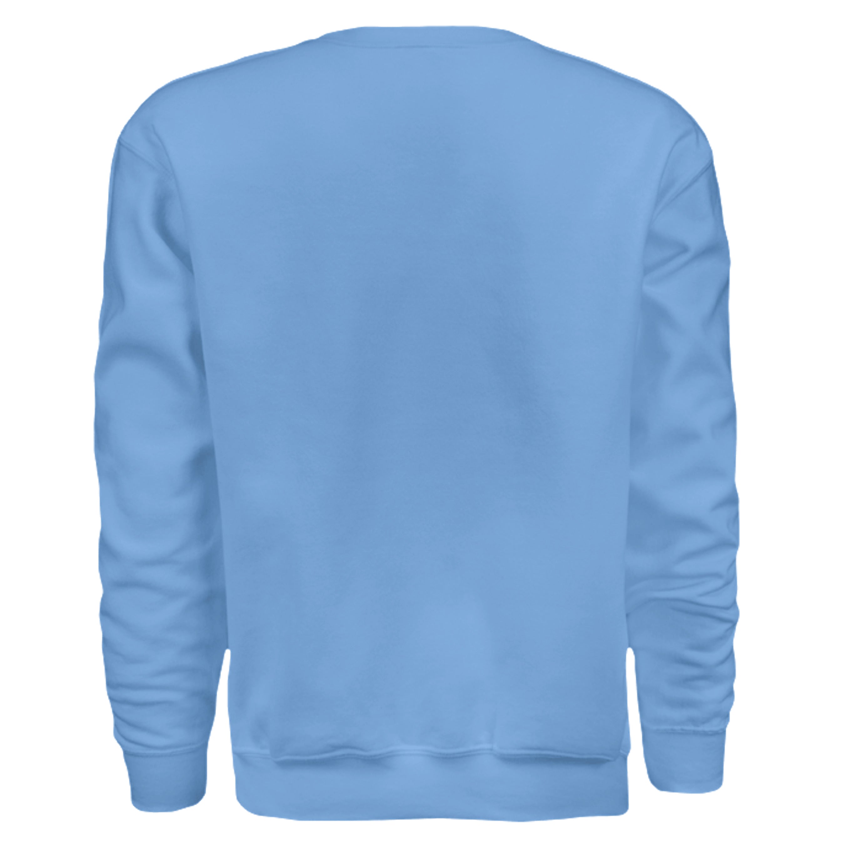 Classic H Sweatshirt in Carolina Blue, back view - Houston Cougars Coogs gear